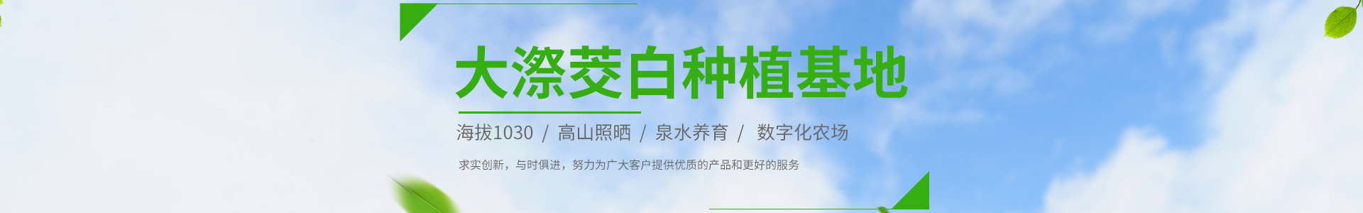 组织框架